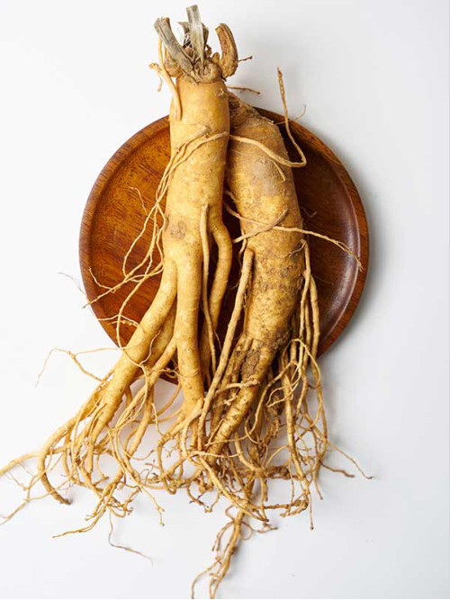 Sâm củ tươi Geumsan Sâm củ tươi Geumsan